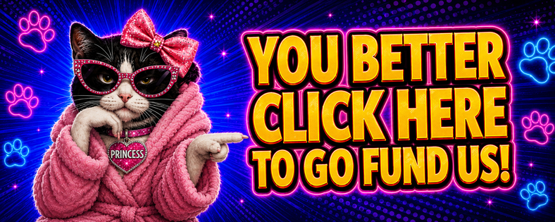 A picture of PRINCESS POINTING TO WHERE TO CLICK TO GOFUND THEM.
